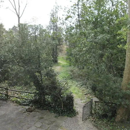 And Cozy Flat At Pineta Grado