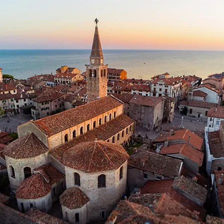 And Cozy Flat At Pineta Apartament